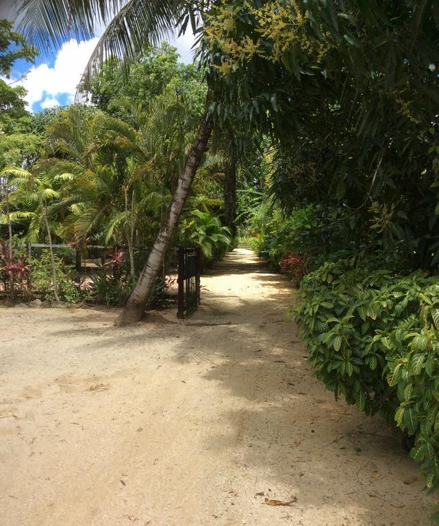 Akka Villa Meerzorg Buitenkant foto