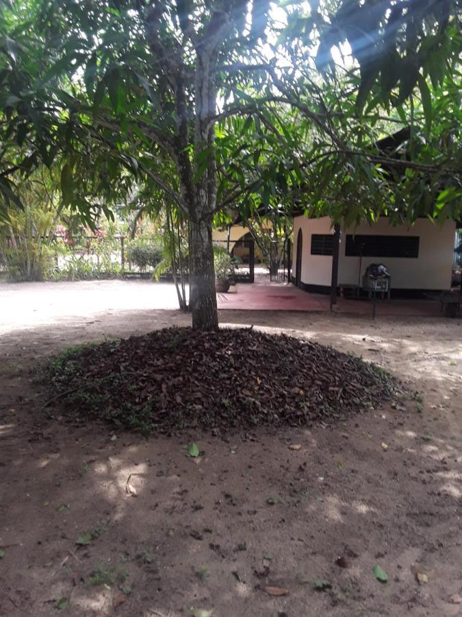 Akka Villa Meerzorg Buitenkant foto
