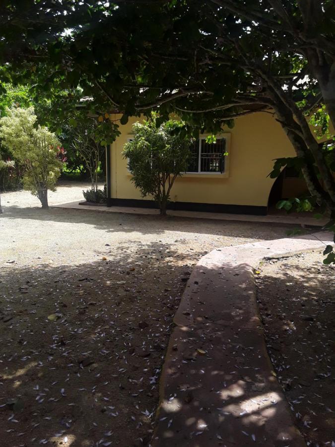 Akka Villa Meerzorg Buitenkant foto
