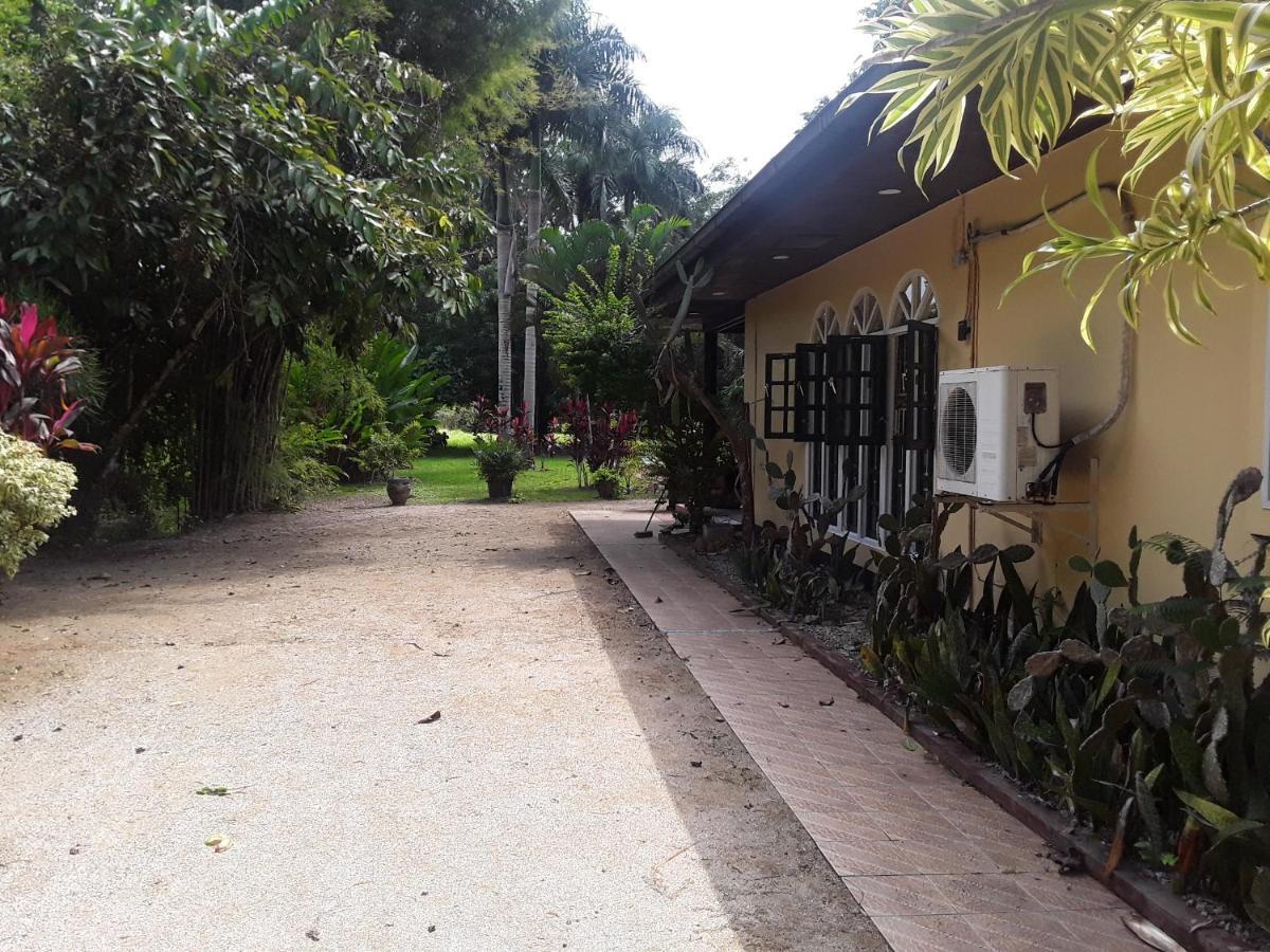 Akka Villa Meerzorg Buitenkant foto
